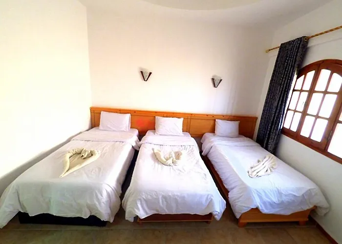 Jimmy Bed & Breakfast 3*