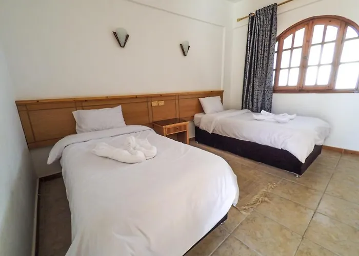 Jimmy Bed & Breakfast 3*