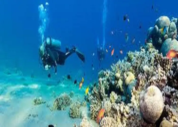 Jimmy Bed & Breakfast Dahab